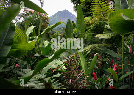 Vulcano vedute dalle camere Nayara Hotel, Spa & Gardens, Oeste de Fortuna, La Fortuna de San Carlos, al Parco Nazionale del Vulcano Arenal, Costa Rica Foto Stock