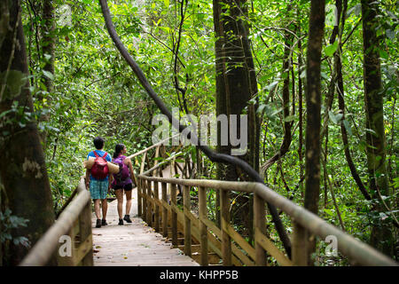 I gruppi turistici nel Parco Nazionale di Manuel Antonio, Costa Rica, l'America centrale. Turisti si riuniscono intorno a una guida per ottenere uno sguardo alla fauna selvatica a Manue Foto Stock