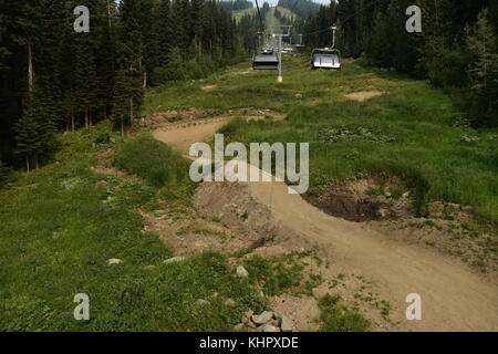 Mountain bike trail su todd montagna a picchi di sun resort Foto Stock