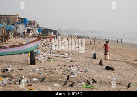 Persone, i cani e i corvi su una immondizia di plastica ricoperto versova beach, Mumbai Foto Stock