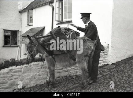 anni '1950, un postino con maglietta e cravatta e cappello con l'asino, che con un'imbracatura di legno porta i sacchi postali. Girato a Covelly, Devon, Inghilterra, Regno Unito, dove le ripide e strette strade acciottolate significavano che gli asini venivano usati per molti scopi intorno al villaggio e al porto. Foto Stock