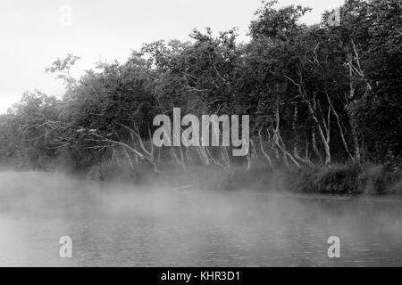 Hot Springs in natura nalychevo park, kamchatka, Siberia, Russia Foto Stock