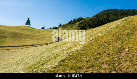 Fienagione sul pendio di una collina con righe di fieno, un voltafieno e un fieno-caricatore Foto Stock