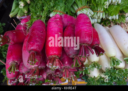 Fresche le barbabietole e le carote nel mercato Foto Stock