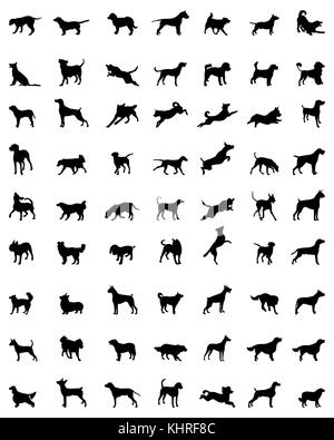 Silhouette nera di diverse razze di cani, vettore Foto Stock