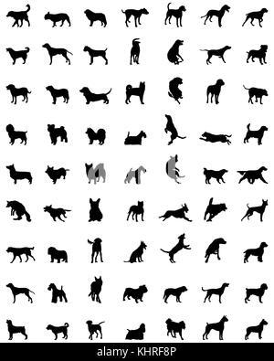 Silhouette nera di diverse razze di cani, vettore Foto Stock