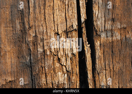 Texture di legno vecchio traversina ferroviaria Foto Stock