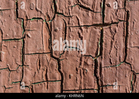 Texture di incrinato vernice marrone sulla parete in legno Foto Stock