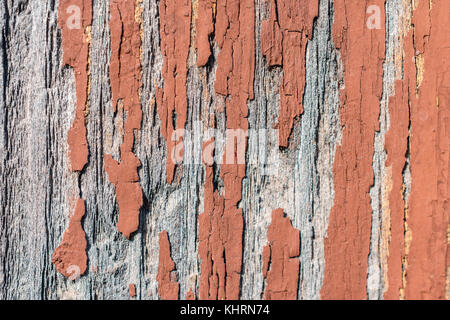 Texture di sbriciolamento vernice marrone sulla parete in legno Foto Stock