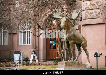 Helsinki, Finlandia - 7 dicembre 2016: Statua di elk all'entrata nel museo di storia naturale di helsinki. Foto Stock