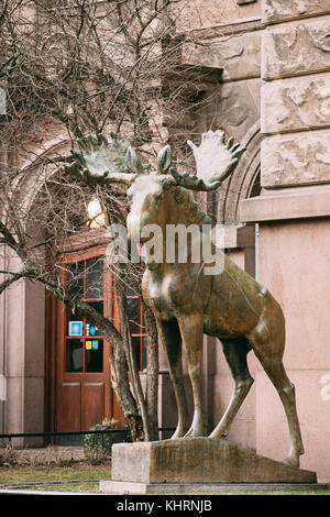 Helsinki, Finlandia - 7 dicembre 2016: Statua di elk all'entrata nel museo di storia naturale di helsinki. Foto Stock