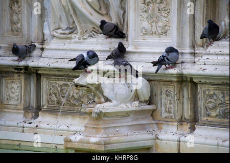 Fonte Gaia (fontana monumentale) su Piazza del Campo nel centro storico di Siena elencati di patrimonio mondiale dall UNESCO a Siena, Toscana, Italia. 28 Agosto 2 Foto Stock