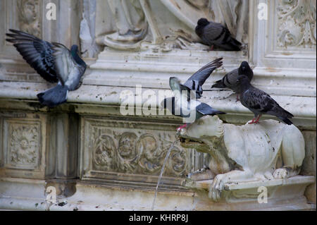 Fonte Gaia (fontana monumentale) su Piazza del Campo nel centro storico di Siena elencati di patrimonio mondiale dall UNESCO a Siena, Toscana, Italia. 28 Agosto 2 Foto Stock