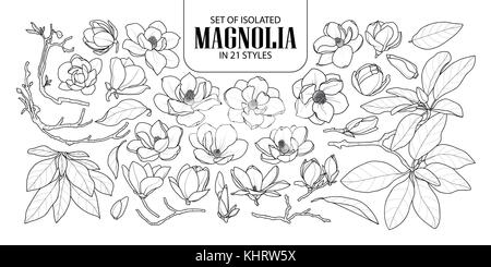 Set di magnolia isolati in 21 stili. carino disegnato a mano fiore illustrazione vettoriale nel contorno nero e il piano bianco su sfondo bianco. Illustrazione Vettoriale