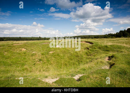 Regno Unito, Inghilterra, Norfolk, la Brecks, Brandon, Thetford Forest, Grimes Graves, antica miniera di selce depressione Foto Stock