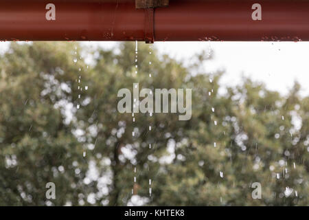 Gocce di pioggia su un tetto metallico grondaia closeup contro uno sfondo sfocato di alberi verdi Foto Stock