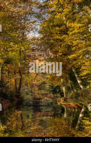 Non si è mai guardato questo bene in hawkins,in Foto Stock