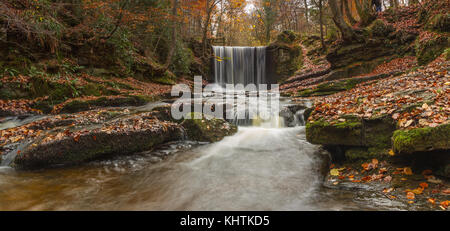 I colori autunnali nei boschi a nant mill, Galles Foto Stock