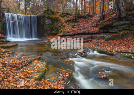 I colori autunnali nei boschi a nant mill, Galles Foto Stock
