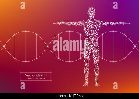 Abstract il corpo umano con molecole di DNA. Medicina, la scienza e la tecnologia del concetto. Illustrazione Vettoriale Illustrazione Vettoriale