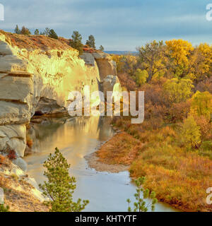 colori autunnali e scogliere di arenaria lungo il fiume tongue vicino ashland, montana Foto Stock