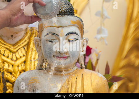 La balneazione statua del Buddha per la benedizione - un rituale religioso. Versando acqua sulla statua di Buddha è un gesto di culto del Signore Buddha. Foto Stock