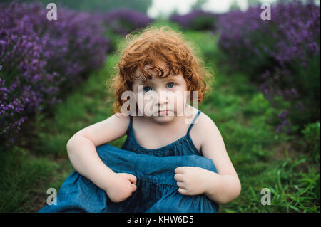 Bambino tra i filari di lavanda, campbellcroft, Canada Foto Stock