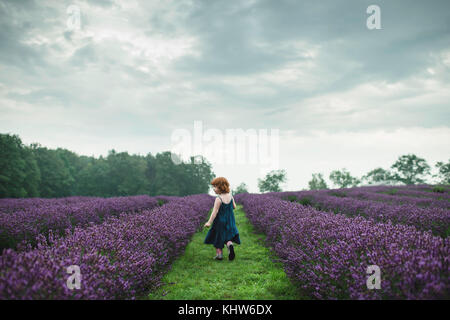 Bambino tra i filari di lavanda, campbellcroft, Canada Foto Stock