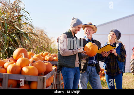 Gli agricoltori che lavorano in azienda di zucca Foto Stock