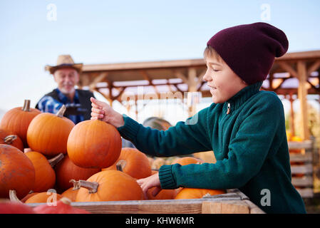 L'agricoltore e nipote alla fattoria di zucca Foto Stock