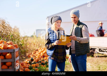 Gli agricoltori che lavorano in azienda di zucca Foto Stock