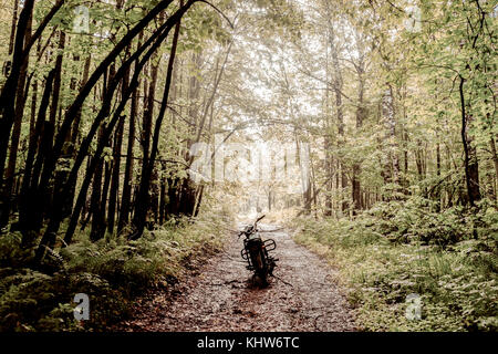 La moto sul percorso attraverso la foresta, Ural, Sverdlovsk, Russia Foto Stock