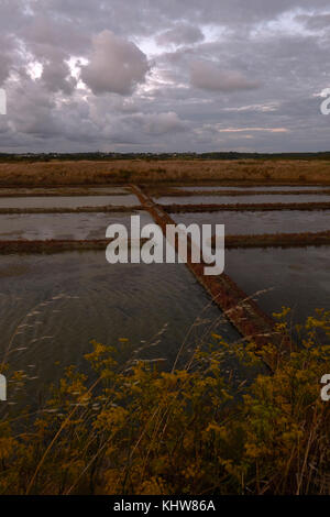 La lavorazione saline e paludi di Guerande vicino Le Croisic in Loire Atlantique - regione della Bretagna Francia. Foto Stock