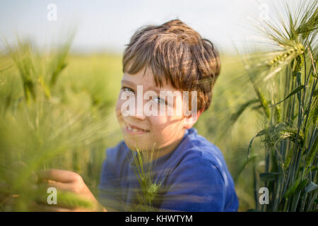 Un ragazzo nascosto e giocare nel verde di mais, orzo e frumento. Un giovane, cute kid, bambino in estate il sole. Foto Stock