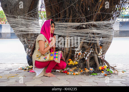 Iva Savitri, donna filo di legatura al Banyan Tree e pregando. Pune, Maharashtra, India Foto Stock