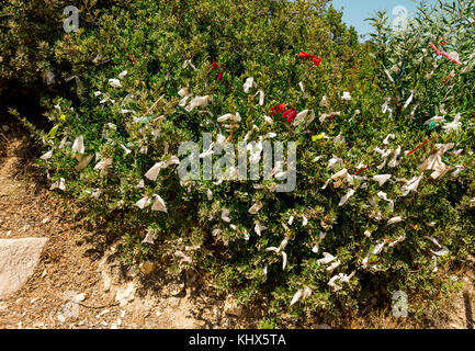 'Amore' nastri a sinistra su un albero in entrata per una turistica popolare aphrodite la spiaggia di roccia in Cipro Foto Stock