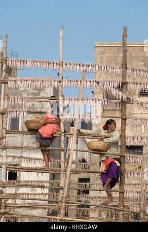 Le donne pesci appesi su stenditoi in sun a versova beach, Mumbai Foto Stock