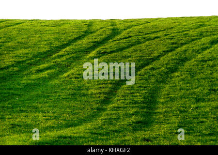 Le vie su un prato verde al german eifel. Foto Stock