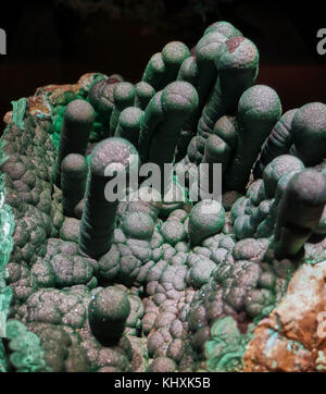 L'Europa, Germania, Sassonia, Freiberg, la città vecchia, la Terra Mineralia museo, stella del Congo miniera, Malachit stalaktiten Foto Stock