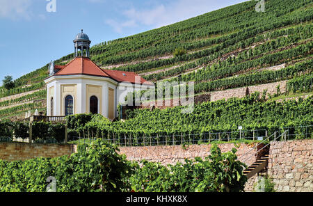 L'Europa, Germania, Sassonia, Radebeul, Stato Sassone cantina castello Waccurbarth Foto Stock