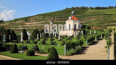 L'Europa, Germania, Sassonia, Radebeul, Stato Sassone cantina castello Waccurbarth Foto Stock