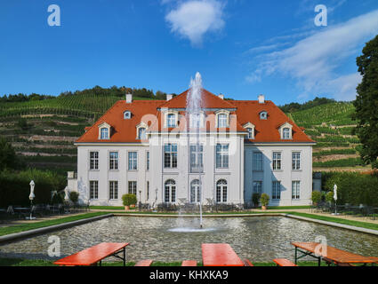 L'Europa, Germania, Sassonia, Radebeul, Stato Sassone cantina castello Waccurbarth Foto Stock