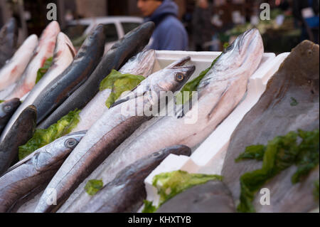 Merluzzi, Mediterranea di pesce al mercato di napoli, Italia Foto Stock