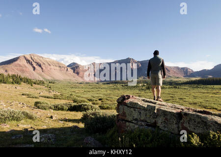 Escursionista maschio guardando fuori oltre il paesaggio e le montagne, Wasatch-Cache National Forest, Utah, Stati Uniti d'America Foto Stock