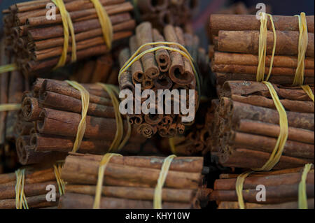 Materie bastoncini di cannella in fasci in un tradizionale mercato marocchino chiamato souk di Marrakech Foto Stock