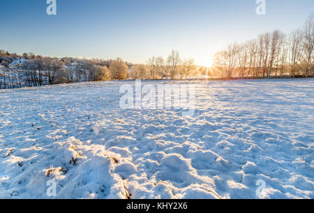 Paesaggio invernale sunrise su neve coperto campo, con lens flare, in Floda, Svezia modello di rilascio: No. Proprietà di rilascio: No. Foto Stock