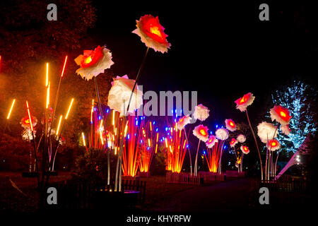 Londra, Regno Unito. Xxi nov, 2017. un magico sentiero illuminato attraverso kew la magnifica dopo-paesaggio scuro, illuminata da oltre un milione di luci scintillanti. Credito: sebastian remme/alamy live news Foto Stock