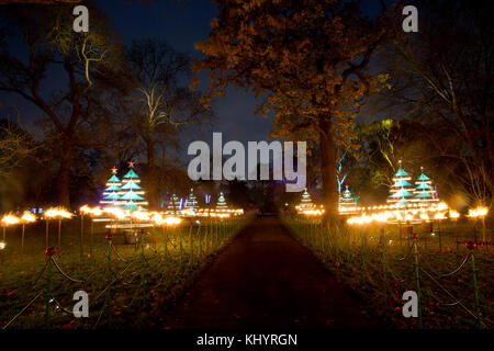 Londra, Regno Unito. Xxi nov, 2017. un magico sentiero illuminato attraverso kew la magnifica dopo-paesaggio scuro, illuminata da oltre un milione di luci scintillanti. Credito: sebastian remme/alamy live news Foto Stock