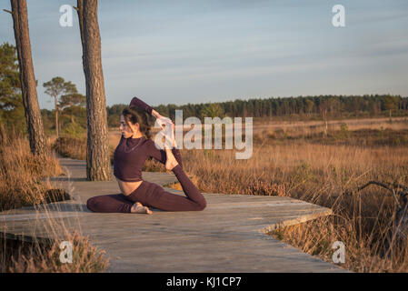 Donna fare yoga, re pigeon pongono Foto Stock