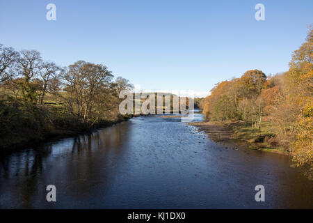 Fiume Tees a Barnard Castle in autunno Foto Stock